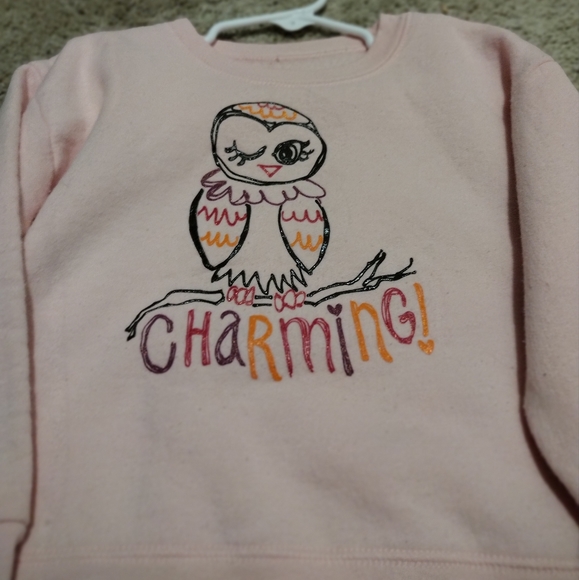 Owl Sweat Shirt - Picture 1 of 3